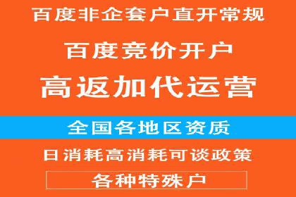 SEM推广代运营公司：实战案例解析
